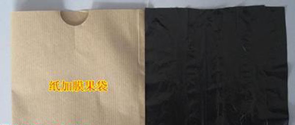 ����Ĥ�������O��������̿��